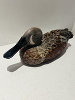 Hand Carved Shoveler Duck Decoy