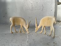 Pair of Antique Ivory Antelope