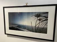 Framed Expansive Photo of the New Zealand West Coast