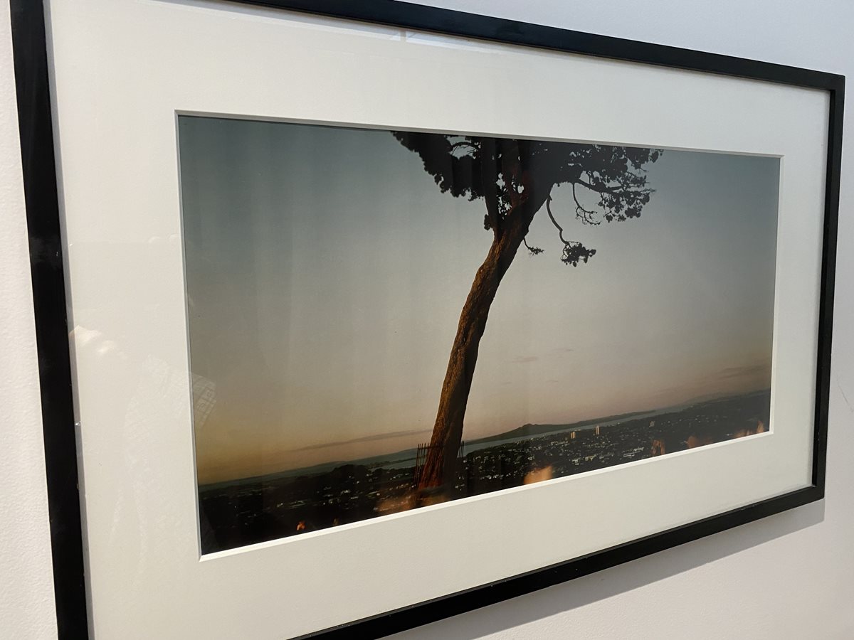 Panoramic Framed Photo of Rangitoto Island from One Tree Hill